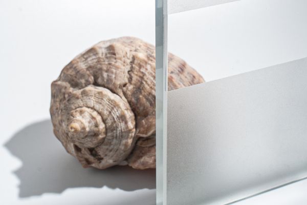 DSC_8817 светлое на сайт.jpg