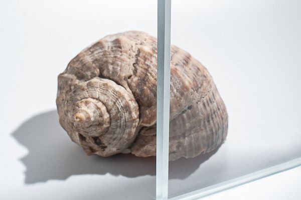 DSC_8826 светлое 5.jpg